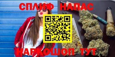 прущие грибы Когалым