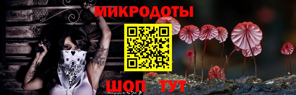 Псилоцибиновые грибы мицелий Кировск